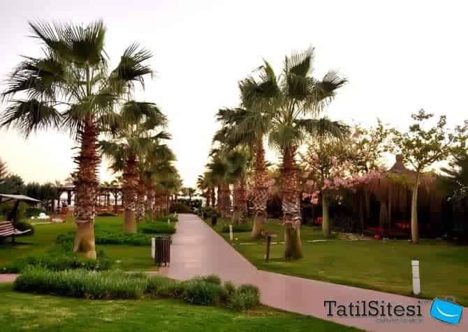 Saturn Palace Resort